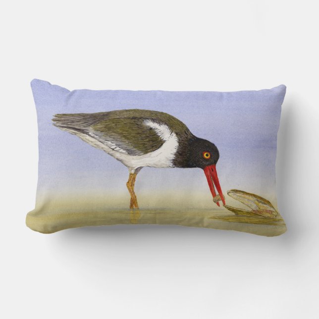OYSTERCATCHER-KISSEN LENDENKISSEN (Vorderseite)