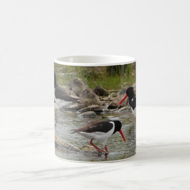 Oystercatcher-Tasse Kaffeetasse (Mittel)