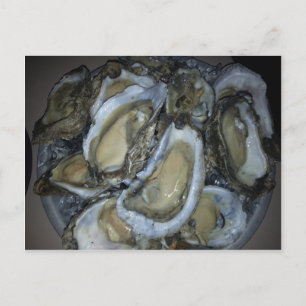 Oysters an der Golfküste Postkarte
