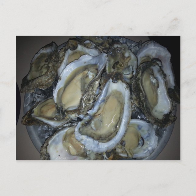 Oysters an der Golfküste Postkarte (Vorderseite)