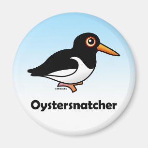 Oystersnatcher Magnet