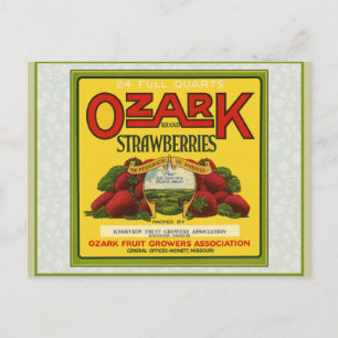 Ozark Strawberries Postkarte