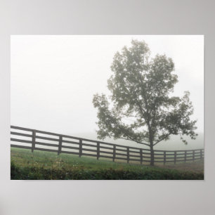 Ozarks Country Fog Poster