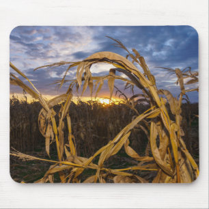 Ozarks Harvest Mousepad