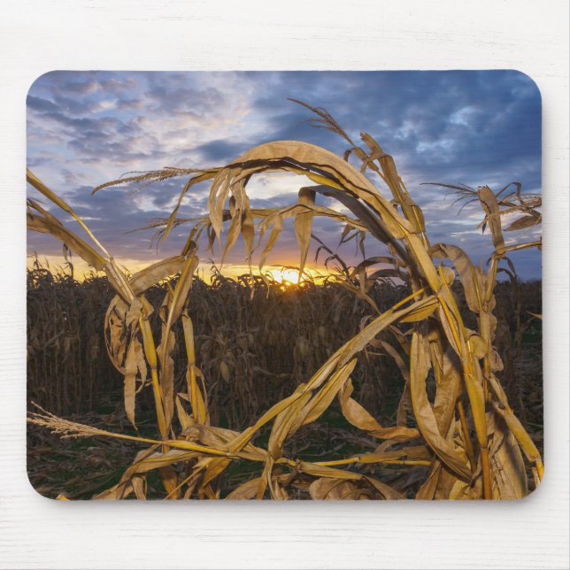 Ozarks Harvest Mousepad (Vorne)