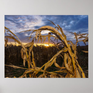 Ozarks Harvest Poster