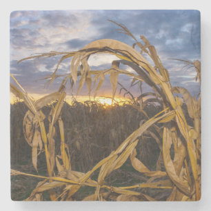 Ozarks Harvest Steinuntersetzer