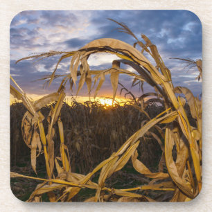 Ozarks Harvest Untersetzer