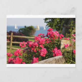 Ozean, Blume Postkarte
