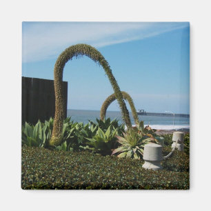 Ozean, Ca Magnet