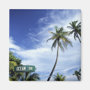 Ozean Drive Verkehrsschild, Südstrand, Miami, Magnet