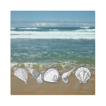 Ozean mit handgezogenen Muscheln auf Foto