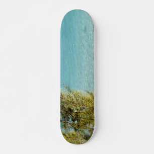 Ozean Skateboard