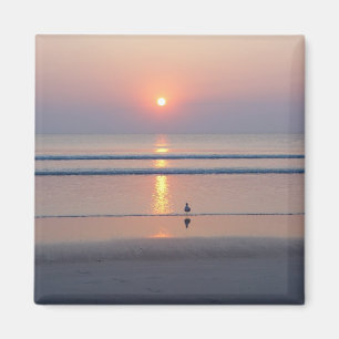 Ozean-Sonnenaufgang-Magnet Seemöwe-Daytona Beach Magnet