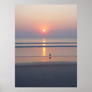 Ozean-Sonnenaufgang-Plakat Seemöwe-Daytona Beach Poster