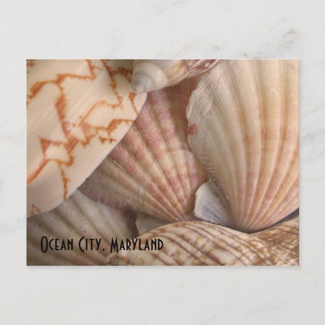 Ozean-Stadt, Maryland-Postkarte Postkarte (Vorderseite)