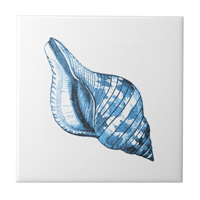 OZEAN-Strandgeschenke der blauen Muschel Seeküsten Fliese (Vorderseite)