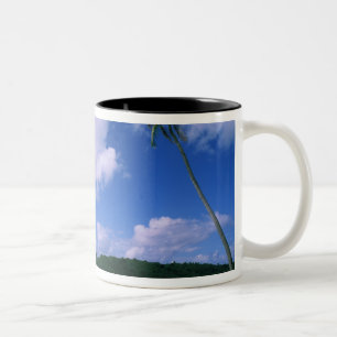 Ozeanien, Französisch-Polynesien, Tahiti. Ansicht  Zweifarbige Tasse