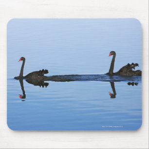 Ozeanien, Neuseeland, Südinsel, Hokitika - Mousepad