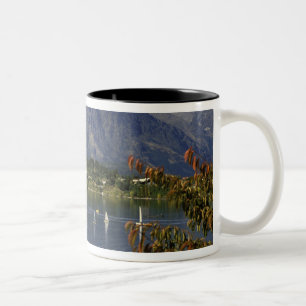 Ozeanien, Neuseeland, Südinsel, Queenstwon. Zweifarbige Tasse