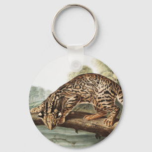 Ozelot, Leopard Cat (Felis pardalis) Illustration Schlüsselanhänger