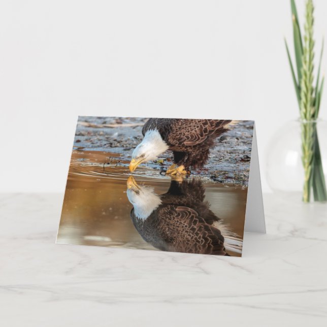 Ozzie Karte (Vorderseite)