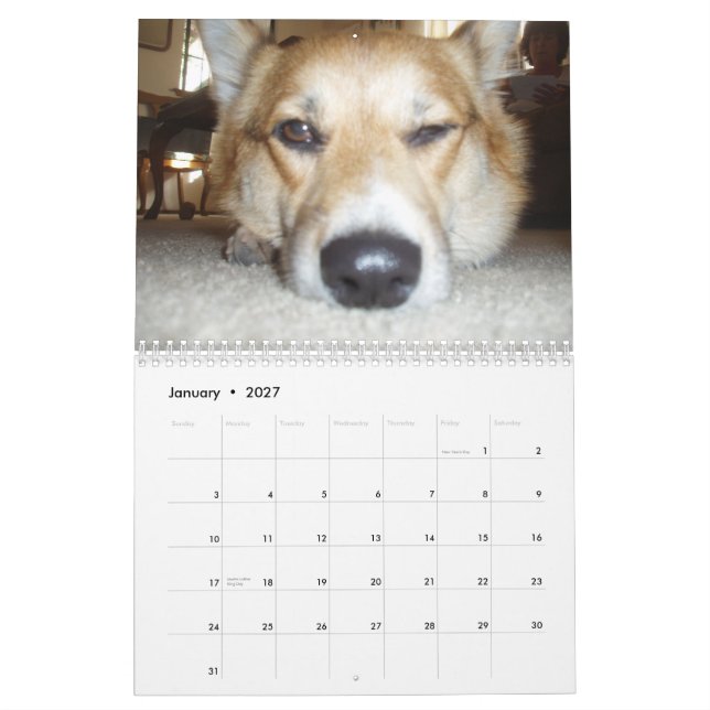 P1010036, Corgi-Liebe-Kalender Kalender (Jan 2027)