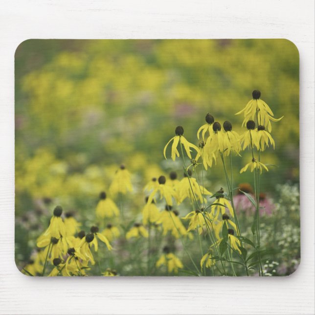P2526a_yellow coneflower monet_zazzle mousepad (Vorne)