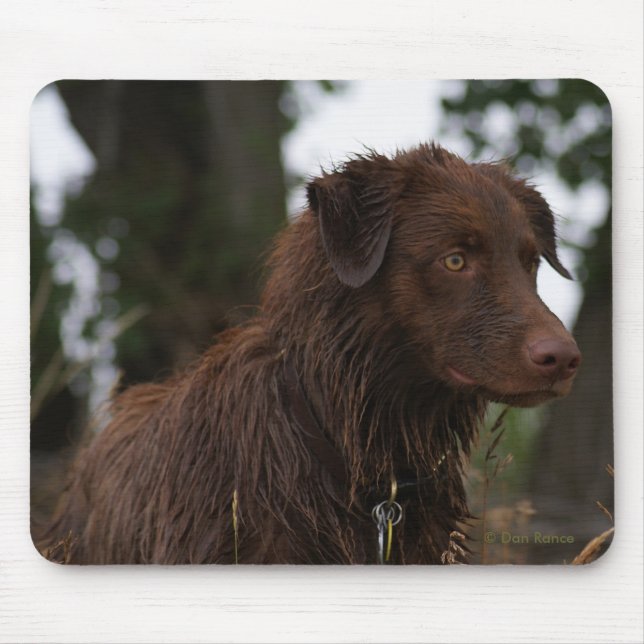P2 Roter Hund Sam Flatlandersam Mousepad (Vorne)