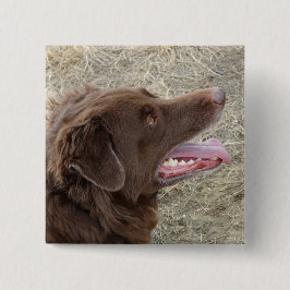 P4 Flatlandersam Profil Button