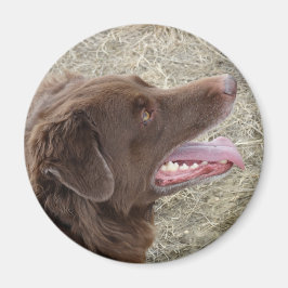 P4 Flatlandersam Profil Magnet