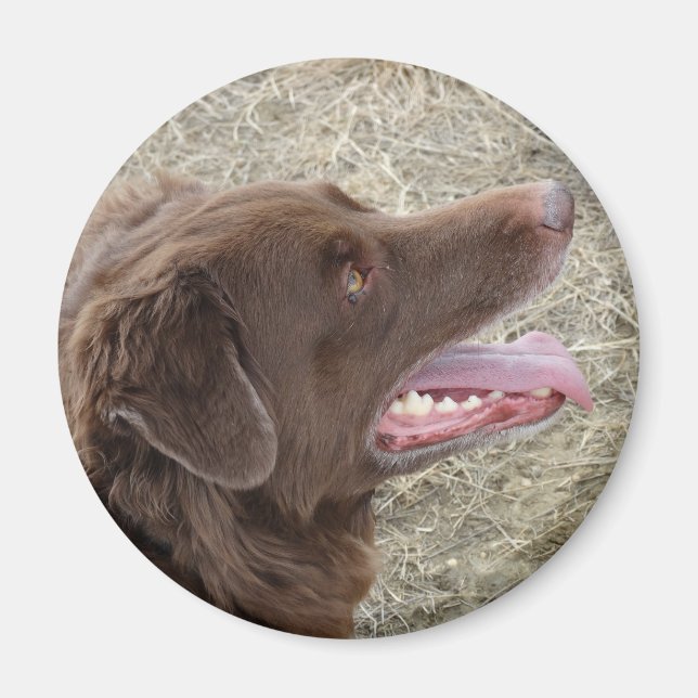 P4 Flatlandersam Profil Magnet (Vorne)