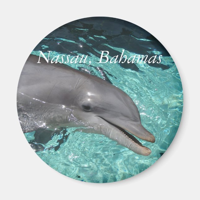 P8010404, Nassau, Bahamas Magnet (Vorne)