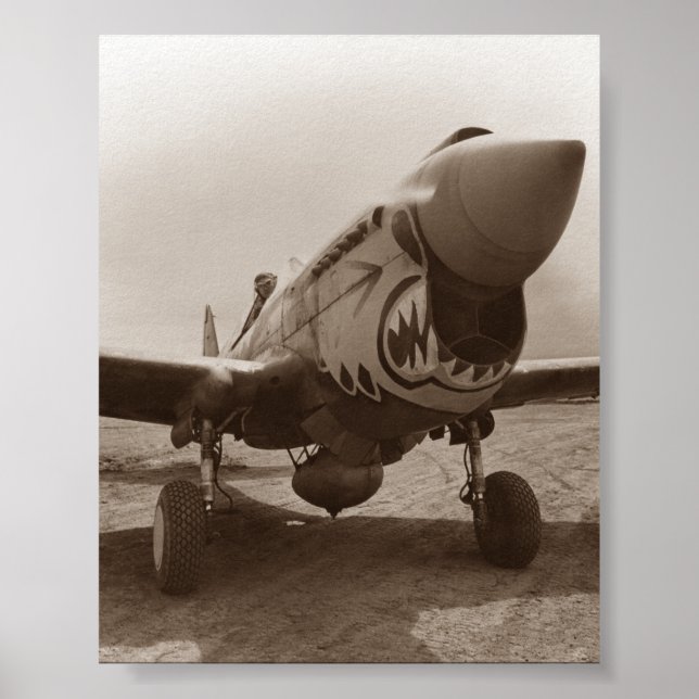 P-40 Warhawk - Zweiter Weltkrieg Poster (Vorne)