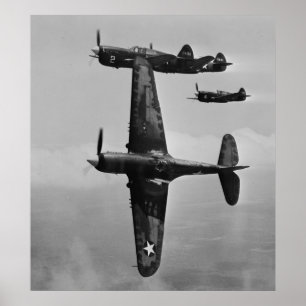 P-40 Warhawks Poster