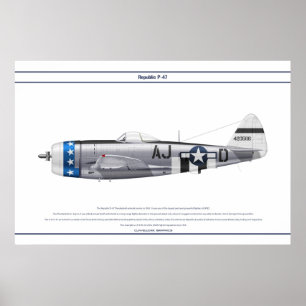 P-47D 356FS USAAF POSTER