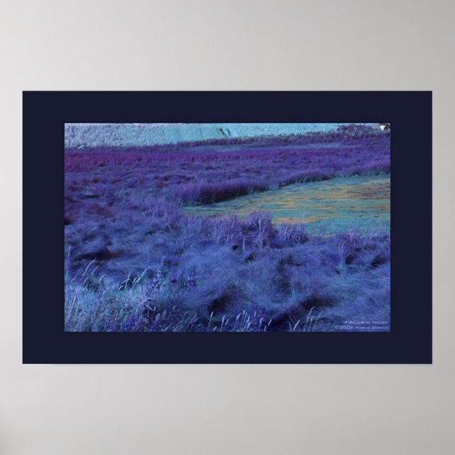 P Unten in Indidigo Poster (Vorne)