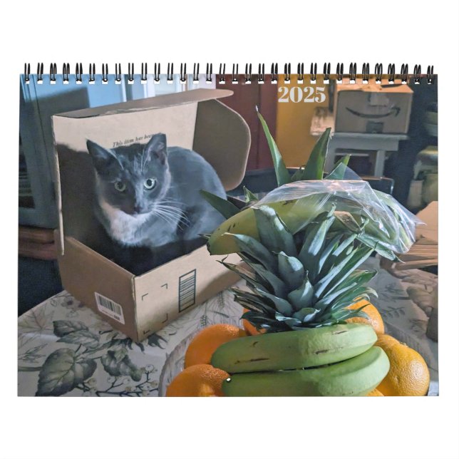 PA Paws 2025 12 Monat Personalisierter Kalender (Titelbild)