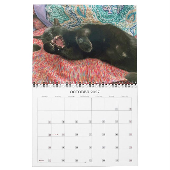 PA Paws 2 Year Calendar 2023-2024 Kalender (Okt 2027)