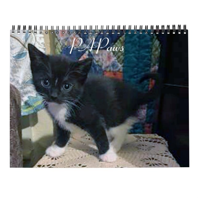 PA Paws 2 Year Calendar Kalender (Rückseite)
