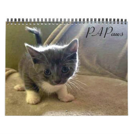 PA Paws 2 Year Calendar Kalender
