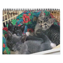 PA Pflastern 12 Monate Personalisierter Kalender