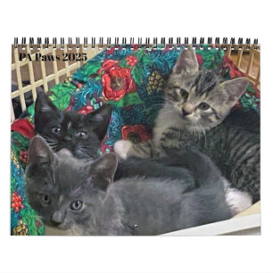 PA Pflastern 12 Monate Personalisierter Kalender