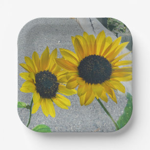 Paar 2 Sonnenblumen gelbe Blumen Hochzeiten Blumen Pappteller