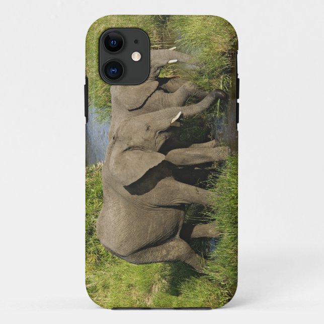 Paar afrikanischer Elefanten Masai Mara Case-Mate iPhone Hülle (Rückseite)