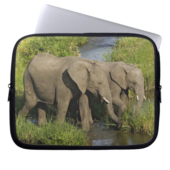 Paar afrikanischer Elefanten Masai Mara Laptopschutzhülle (Vorderseite)