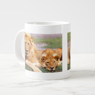 Paar Afrikanischer Löwen, Panthera leo, Tansania Jumbo-Tasse