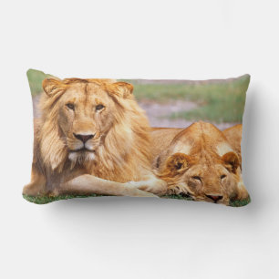 Paar afrikanischer Löwen, Panthera leo, Tansania Lendenkissen