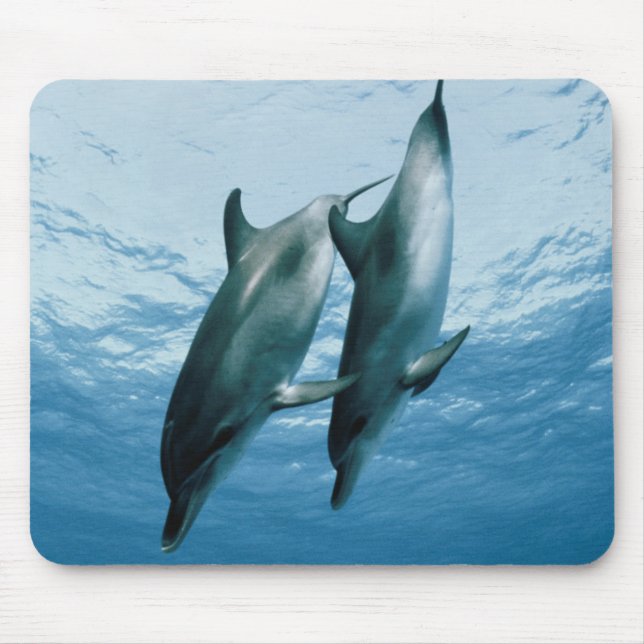 Paar Delphine Mousepad (Vorne)