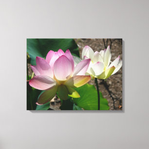 Paar der Lotus-Blume I Leinwanddruck